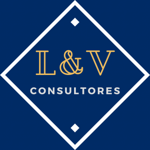 L&V Consultores